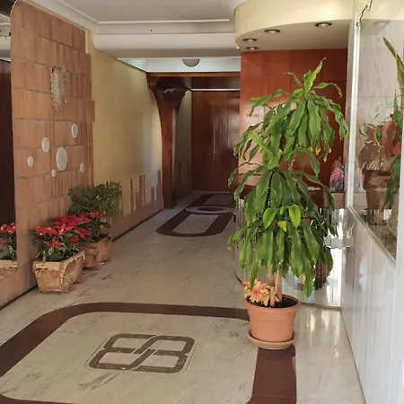 Cachirulo 3b - Arena