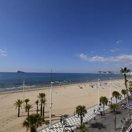 Cachirulo 3b - Arena