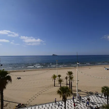 Cachirulo 3b - Arena *